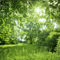 Fachkraft fuer Arbeitssicherheit, externer Brandschutzbeauftragter, externe Sicherheitsfachkraft