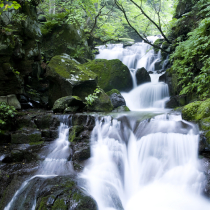externe Sicherheitsfachkraft, externer Brandschutzbeauftragter, externer Sicherheitsingenieur