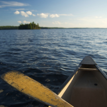 externer Brandschutzbeauftragter, externer Sicherheitsbeauftragter